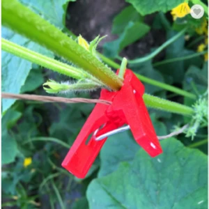 Plastic Cucumber Support Clip For Greenhouse Tomato Grafting
