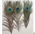 Import PM-012 Wholesale beautiful natural peacock feathers from China