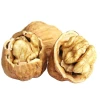 premium selected top quality walnuts and kernels