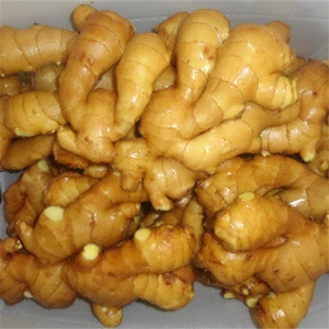 Price of fresh ginger