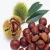 Import Producing area direct selling wholesale high quality fresh Chinese chestnut peelable chestnut kernel from China
