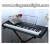 Import Professional high quality keyboard electronic organ YS-2102, release your extraordinary from China