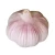 Import purple white garlic bulk garlic for sale export garlic fresh from China