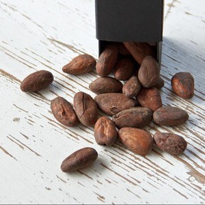 Quality Roasted Cocao Beans for sale