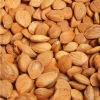 Raw and Organic Bitter Apricot Kernels with 1LB package
