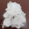 Recycled Hollow Conjugate Siliconized Polyester Fiber 7D*51mm