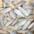 Import Rich in natural calcium and trace element , DRIED CUTTLEFISH BONE from Philippines