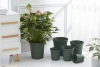 Round 1/1.5/2/3/5 gallon dark green colored decorative Plastic nursery plant flower pot