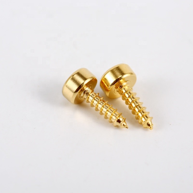 Round Head Micro Self Tapping Screws