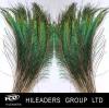 RT164 Real Picture Pheasant Suppliers Dyed Artificial Peacock Feathers