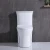 Sanitary Ware European Wholesales Style Wc One Piece White Siphonic Toilet For Bathroom