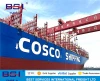 sea freight forwarder China to Chile Valparaiso Arica  despachante maritimo China para o Chile