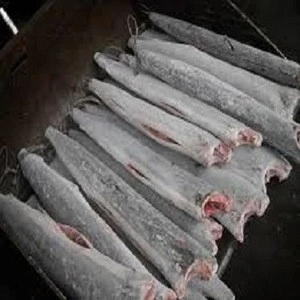 seafood of sailfish, frozen sailfish,High Quality Frozen Indo-Pacific Sailfish
