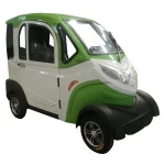 smart 2 seats electric car with 60v/1000w motor