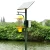 Import Solar Power Bug Zapper from China