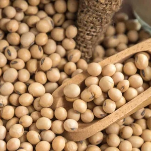 Soybeans at affordable price