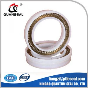 SPRING ENERGIZED  ptfe  lip rotary shaft seal
