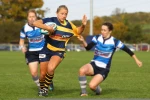 sublimated  100% Polyester Style Custom Rugby League Uniform OEM rugby kits rugby shirts jersey