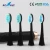 Import Toothbrush Head with High Quality Dupont Bristle for Electric Toothbrush from China