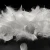 Import top 80% duck down 20% duck feather supplier arrow fletching 20cm ostrich feather from China