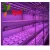 Import Top designed 40ft HQ fresh vegetables growing hydroponic Shipping Container Plant Factory for lettuce from China