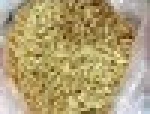 Top quality Best selling pine seeds