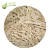 Import Top Quality Frozen Burdock Strip Organic IQF Burdock with good price from China