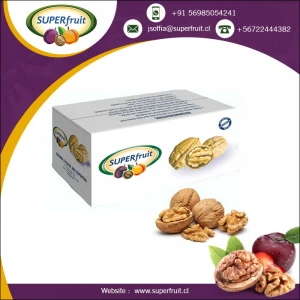 Top Quality Natural Dried Walnuts Nuecea 10 Kg