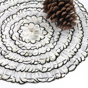 TOP Quality Table Decoration Accessories Ringneck 28cm (11 inch )Natural Pheasant Placemats Big size