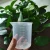 Import Transparent 500ml laboratory plastic beaker Cups from China