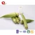 Import TTN Healthy Snacks Okra Prices Vegetable Products from China
