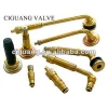 Tubeless Clamp-In Valves (TR621A Series, TRJ650 Series)