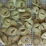 VF Burdock Chip, VF Ensuring Your Health Nutrition, Good Crispy Tase