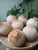 Import VIETNAM FRESH YOUNG COCONUT SPECIAL - BEST PRICE 2021 from Vietnam