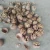 Import walnuts for sale from China