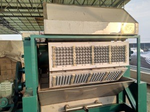 Waste paper pulp recycled moulding mini egg tray making machine  1 buyer