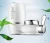 Import Water Purifier Faucet  Water Filter Faucet Mini Kitchen Faucet Water Filter from China