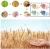 Import Wheat straw bowl spoon fork chopsticks cutlery set children Baby food from China