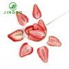 Wholesale Ad FD Dried Fruit Slices Deliciously Sour Frozen Dried Strawberry Slices Cube Pattern in Vacuum Pack Original Flavor