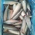 Import Wholesale fresh frozen whole round blue mackerel Seafood from China