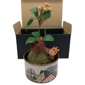 Wholesale high quality artificial Japanese miniature interior plant