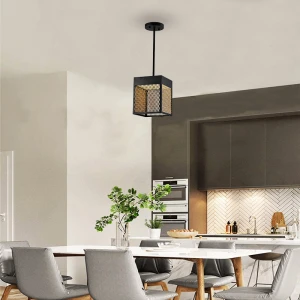 Wholesale indoor lighting home decor pendant light led decorative light