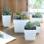 Import Wholesale indoor outdoor square planter plastic plant small flower pot from China