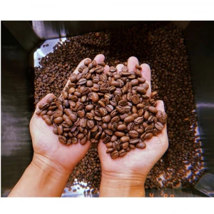 Wholesale Organic Roasted Robusta Coffee Bean With Shelf Life 12 months From Viet Nam