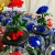 Import wholesale preserved rose in glass dome fresh cut flowers blue roses for UAE national day export to UAE from China