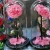 Import Wholesale Private Logo Size S preserved fresh Rose Forever lasting rose preserved in glass from China