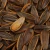 Import Wholesale Sunflower Seeds Of  Pecan Flavor Nuts from China
