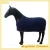 Import Winter warn outdoor horse rug from China
