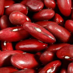 Organic White Kidney Beans, Red Kidney Beans, Black Beans