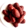xinjiang fresh dried red jujube fruit
